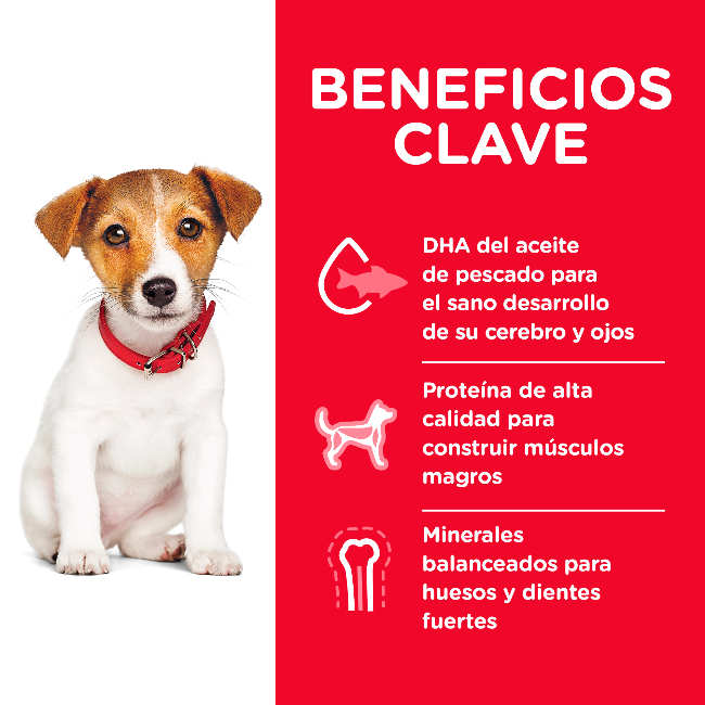 Hills Puppy Small Bites - Alimento para Cachorrro Science Diet Hills Puppy Small Bites - Alimento para Cachorrro Science Diet